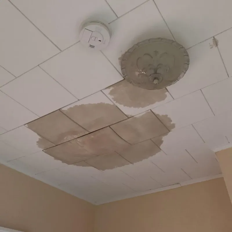 Ceiling Water Damage Repair in Lac du Flambeau, WI