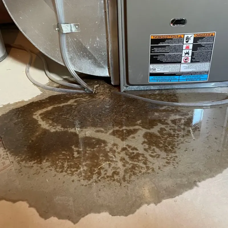 Pipe Burst and Leak Restoration in Lac du Flambeau, WI