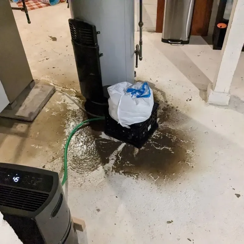 Sewage Backup Cleanup Service in Lac du Flambeau, WI